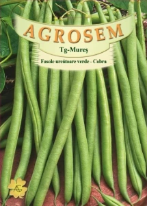 Fasole Cobra 30g - Seminte soi semitimpuriu, fasole urcatoare, pastai verzi rotunde, fara ate, fragede, Agrosem